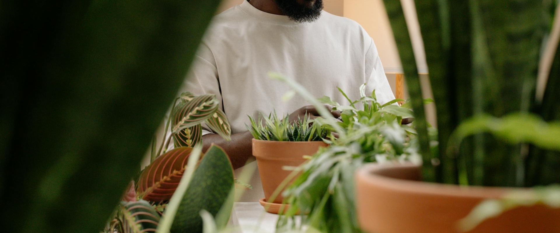 Expert Landscaping & Garden Design